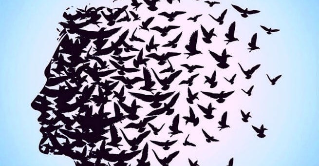 Entellektüel Nedensel Bilgiye İnat